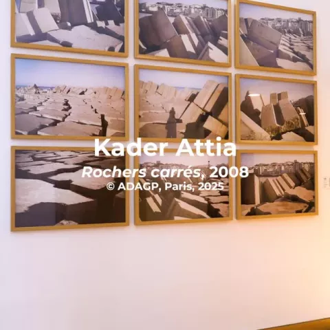 Image de contenu Instagram